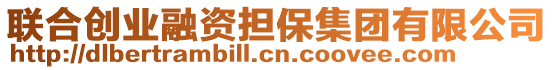 聯(lián)合創(chuàng)業(yè)融資擔保集團有限公司