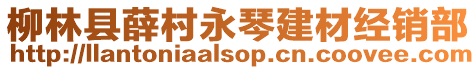 柳林縣薛村永琴建材經銷部