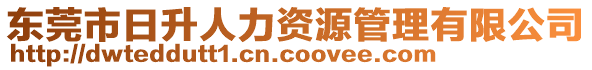 東莞市日升人力資源管理有限公司