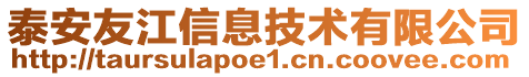 泰安友江信息技術(shù)有限公司