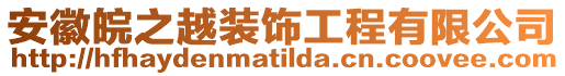 安徽皖之越裝飾工程有限公司