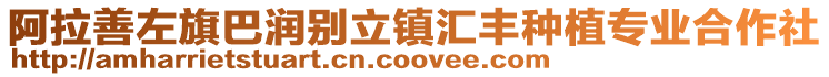 阿拉善左旗巴潤別立鎮匯豐種植專業合作社