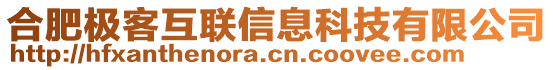 合肥極客互聯(lián)信息科技有限公司