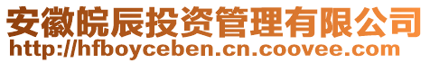 安徽皖辰投資管理有限公司