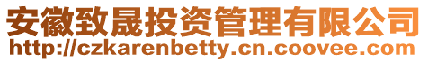 安徽致晟投資管理有限公司