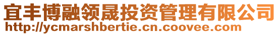 宜豐博融領(lǐng)晟投資管理有限公司