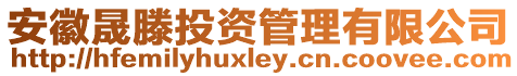 安徽晟滕投資管理有限公司