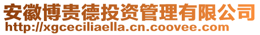 安徽博貴德投資管理有限公司