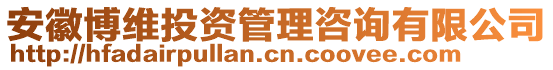 安徽博維投資管理咨詢有限公司