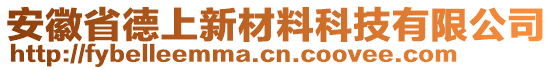 安徽省德上新材料科技有限公司