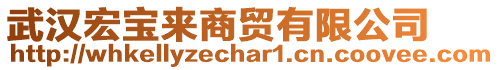 武漢宏寶來(lái)商貿(mào)有限公司