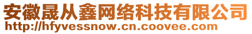 安徽晟從鑫網(wǎng)絡(luò)科技有限公司