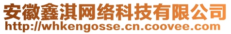 安徽鑫淇網(wǎng)絡(luò)科技有限公司