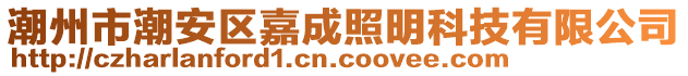 潮州市潮安區(qū)嘉成照明科技有限公司