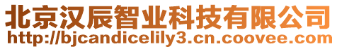 北京漢辰智業科技有限公司