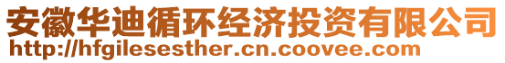 安徽華迪循環(huán)經(jīng)濟投資有限公司