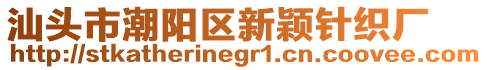 汕頭市潮陽區(qū)新穎針織廠