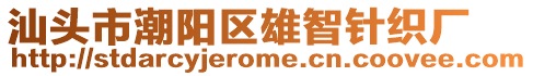 汕頭市潮陽區(qū)雄智針織廠