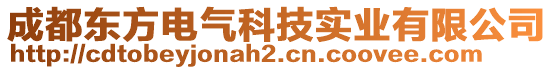 成都東方電氣科技實(shí)業(yè)有限公司