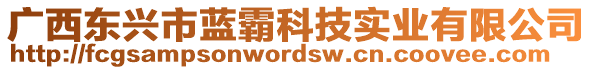 廣西東興市藍(lán)霸科技實(shí)業(yè)有限公司