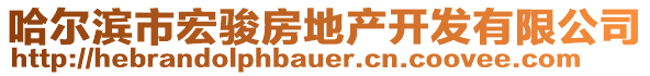 哈爾濱市宏駿房地產(chǎn)開發(fā)有限公司