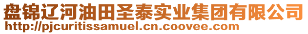 盤錦遼河油田圣泰實(shí)業(yè)集團(tuán)有限公司