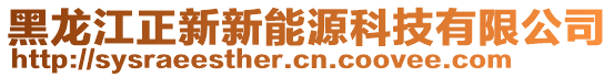 黑龍江正新新能源科技有限公司