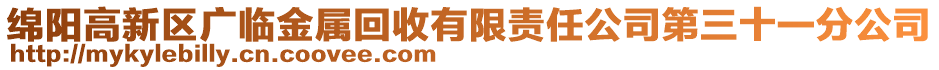 綿陽高新區(qū)廣臨金屬回收有限責(zé)任公司第三十一分公司