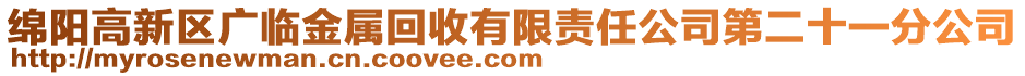 綿陽(yáng)高新區(qū)廣臨金屬回收有限責(zé)任公司第二十一分公司