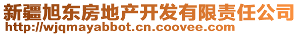 新疆旭東房地產(chǎn)開發(fā)有限責(zé)任公司