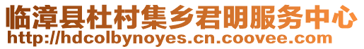 臨漳縣杜村集鄉君明服務中心