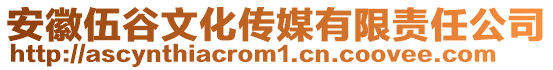 安徽伍谷文化傳媒有限責(zé)任公司