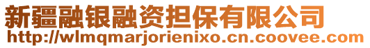 新疆融銀融資擔(dān)保有限公司