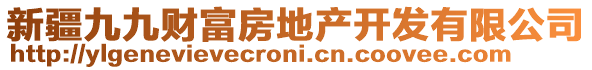 新疆九九財(cái)富房地產(chǎn)開發(fā)有限公司