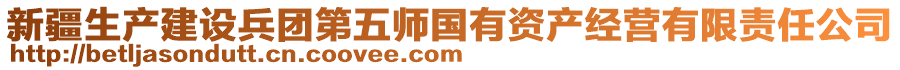 新疆生產(chǎn)建設(shè)兵團(tuán)第五師國(guó)有資產(chǎn)經(jīng)營(yíng)有限責(zé)任公司