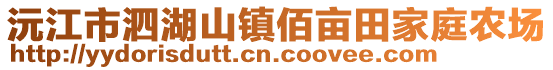 沅江市泗湖山鎮佰畝田家庭農場