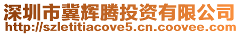 深圳市冀輝騰投資有限公司