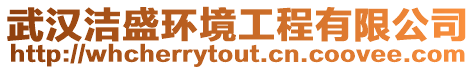 武漢潔盛環(huán)境工程有限公司