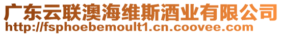 廣東云聯(lián)澳海維斯酒業(yè)有限公司