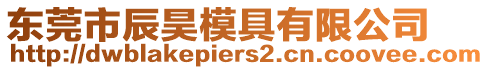 東莞市辰昊模具有限公司