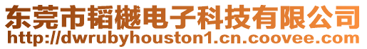 東莞市韜樾電子科技有限公司