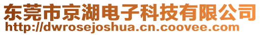東莞市京湖電子科技有限公司