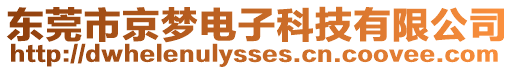 東莞市京夢電子科技有限公司