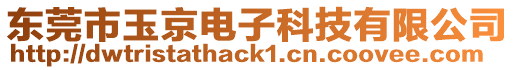 東莞市玉京電子科技有限公司