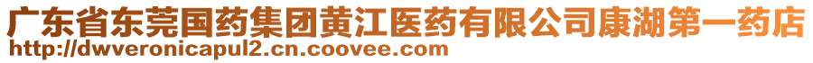 廣東省東莞國藥集團(tuán)黃江醫(yī)藥有限公司康湖第一藥店