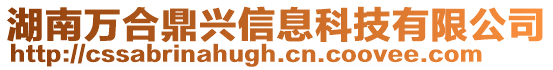 湖南萬合鼎興信息科技有限公司