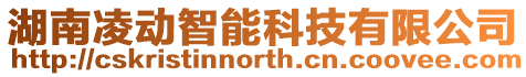 湖南凌動智能科技有限公司