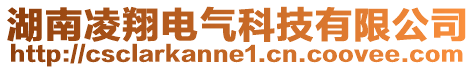 湖南凌翔電氣科技有限公司