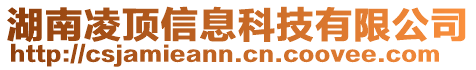 湖南凌頂信息科技有限公司