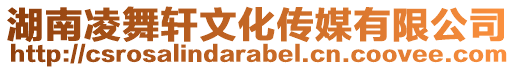 湖南凌舞軒文化傳媒有限公司